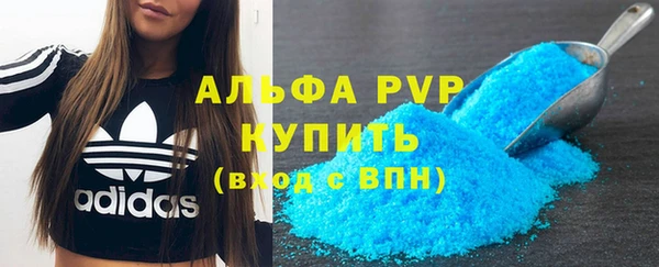 индика Козельск